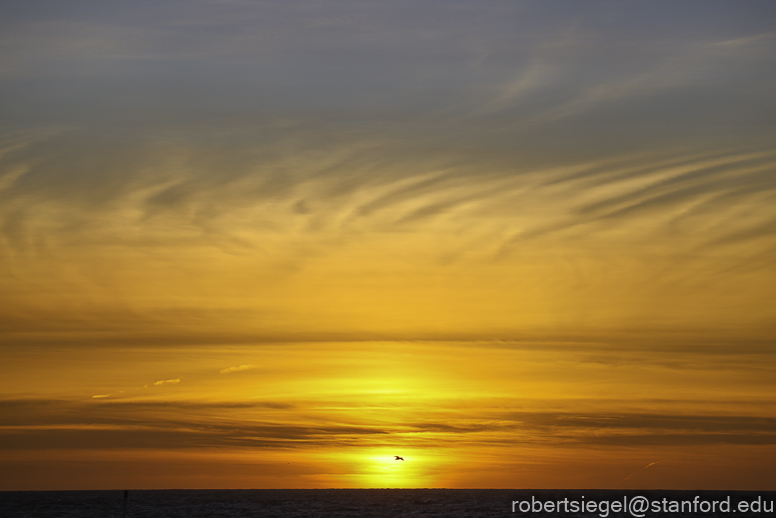 asilomar